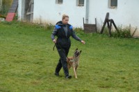/album/sport-kynologie-axis-nieder-bohemia/zkousky-2011-38-jpg/